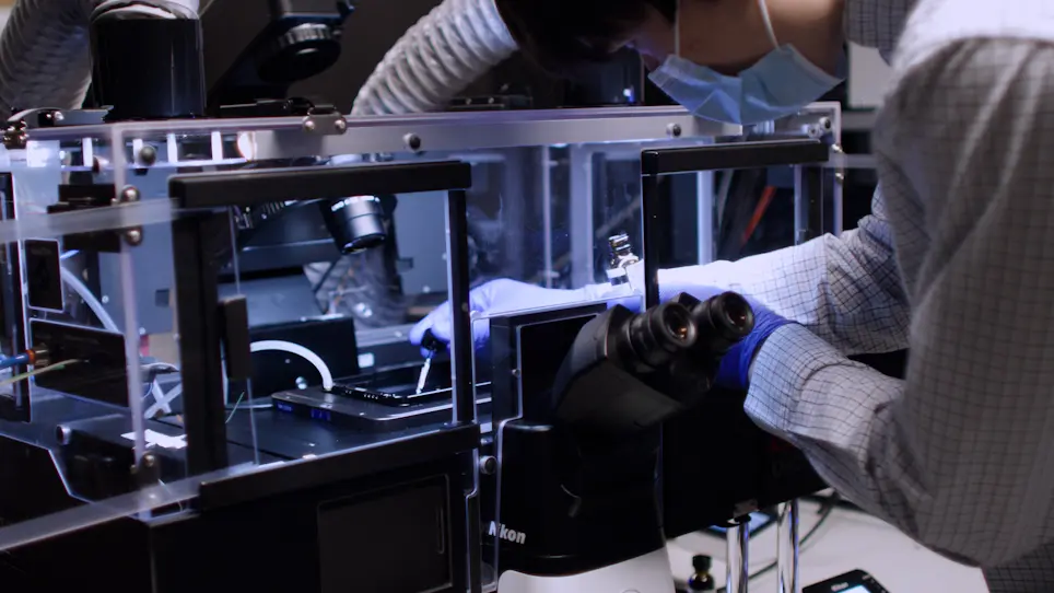 Laser Micro-Irradiation to Study DNA Recruitment During S Phase