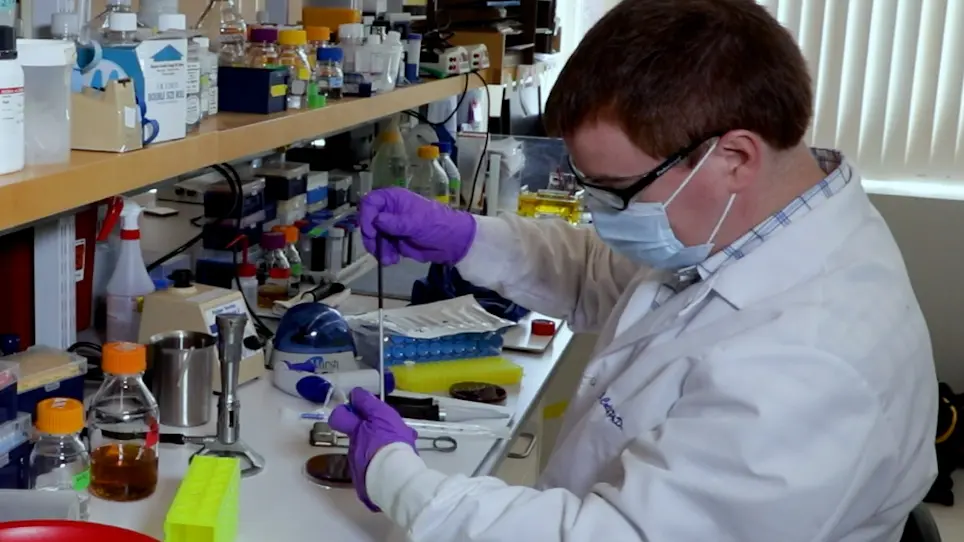 Establishing Stable Binary Cultures of Symbiotic Saccharibacteria from the Oral Cavity