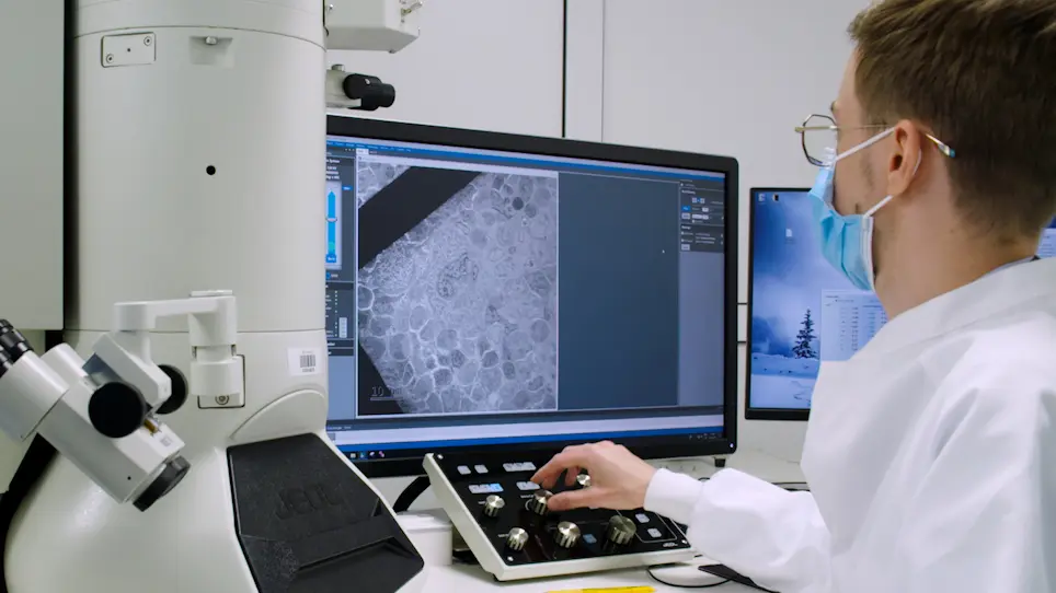 <em>In Situ</em> Exploration of Murine Megakaryopoiesis using Transmission Electron Microscopy