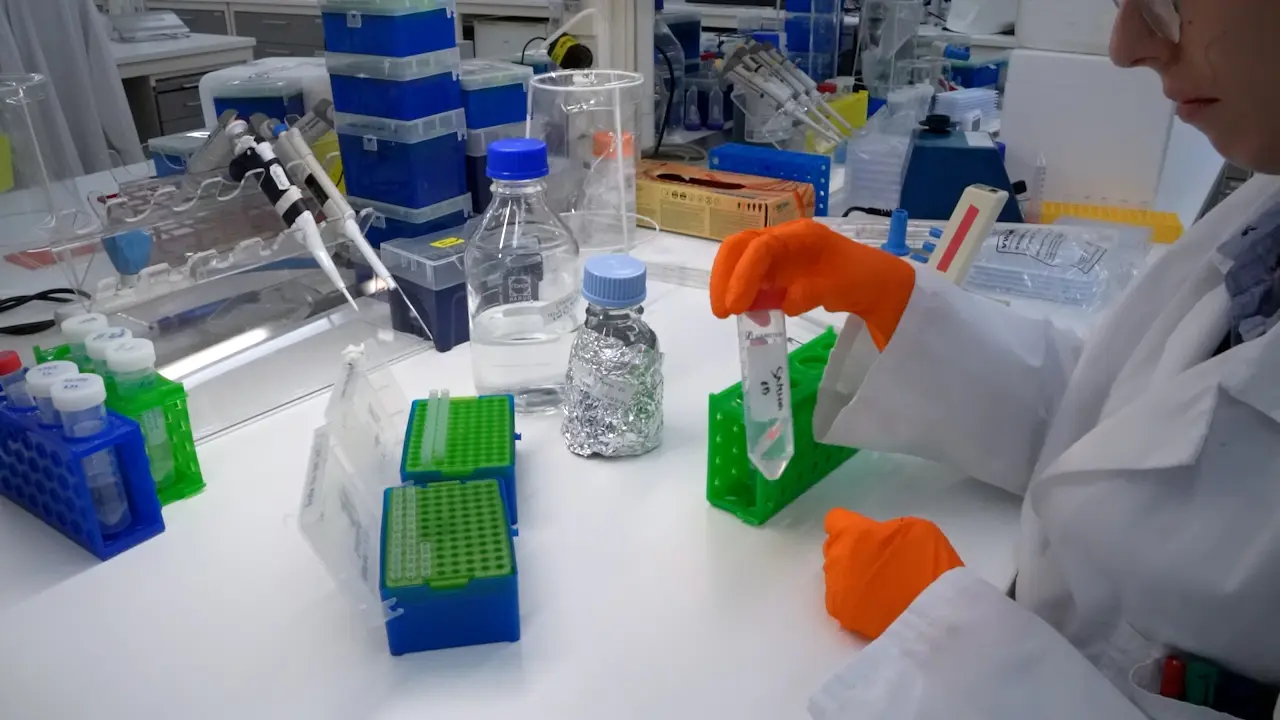 A High-Throughput Enzyme-Coupled Activity Assay to Probe Small Molecule Interaction with the dNTPase SAMHD1