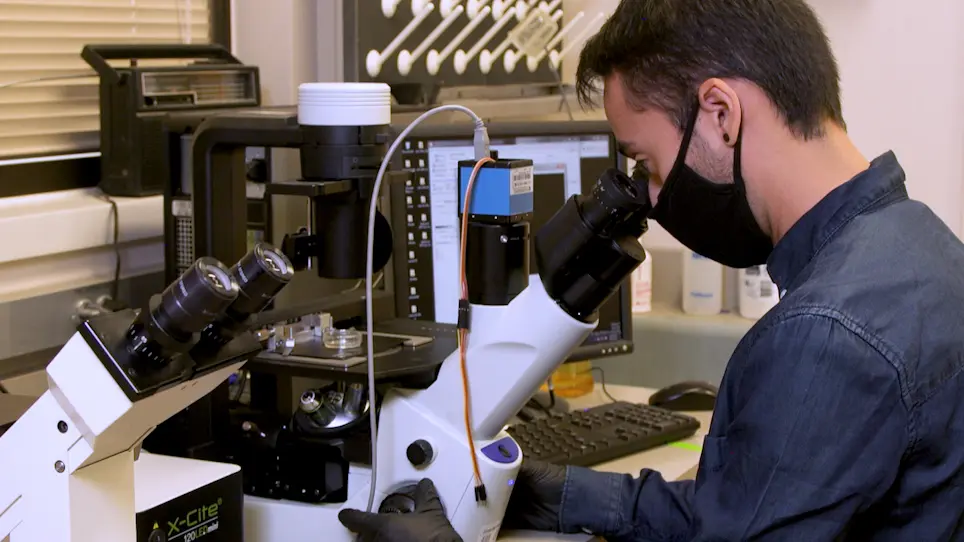 Bead Loading Proteins and Nucleic Acids into Adherent Human Cells