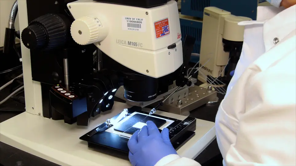 Microinjection Method for <em>Anopheles gambiae</em> Embryos
