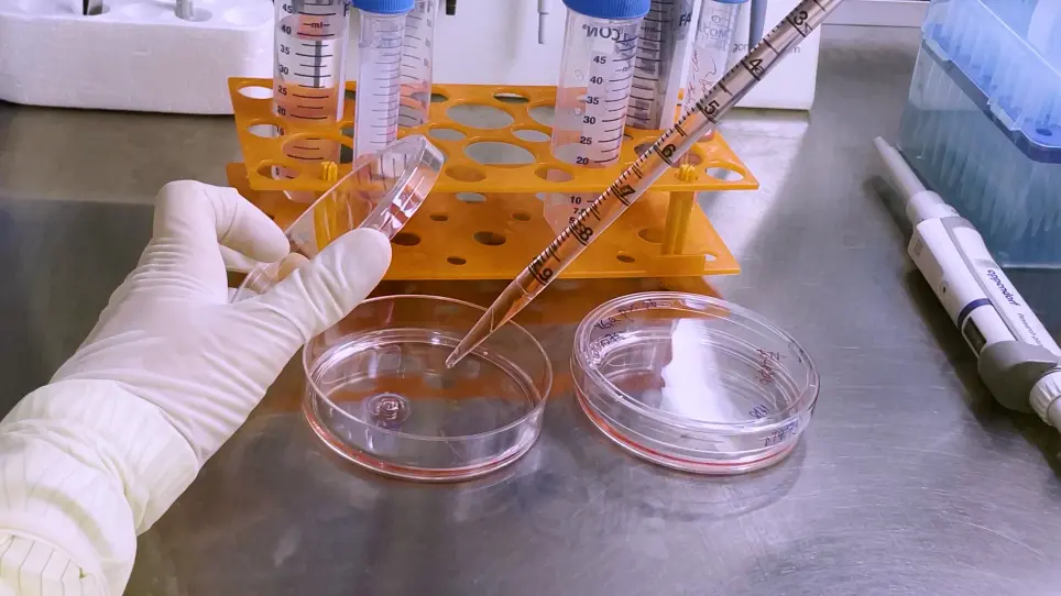Reconstruct Human Retinoblastoma In Vitro