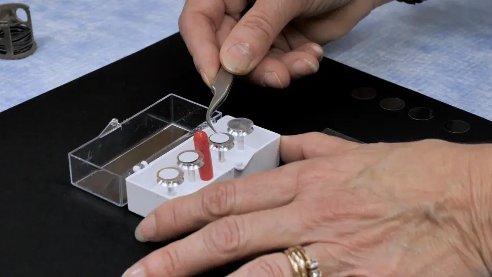 Visualizing Membrane Ruffle Formation using Scanning Electron Microscopy