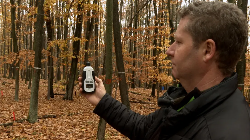 Field Measurement of Effective Leaf Area Index using Optical Device in Vegetation Canopy