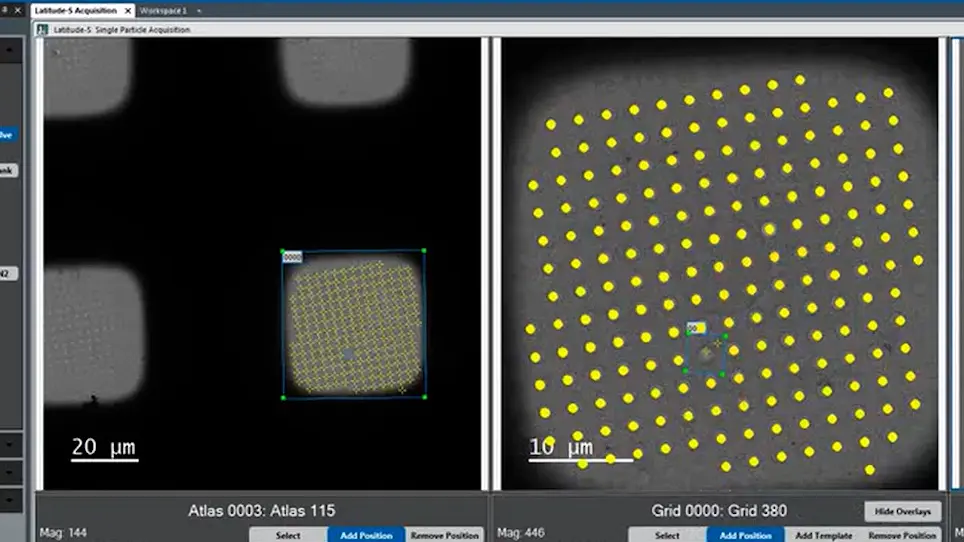 User-friendly, High-throughput, and Fully Automated Data Acquisition Software for Single-particle Cryo-electron Microscopy