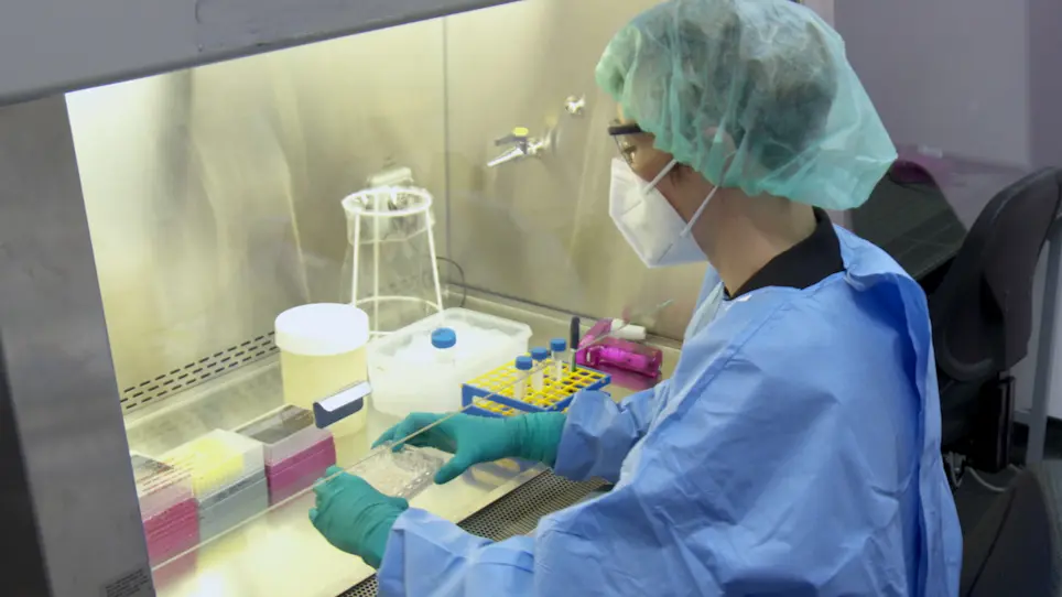 Adapting Gastrointestinal Organoids for Pathogen Infection and Single Cell Sequencing under Biosafety Level 3 (BSL-3) Conditions