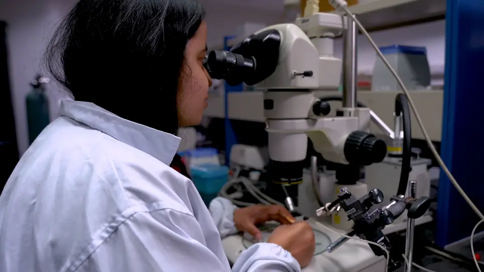 Reverse Genetic Approach to Identify Regulators of Pigmentation using Zebrafish