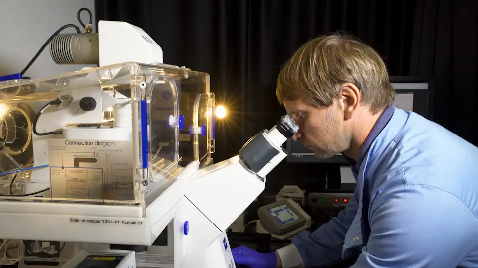 Live-Cell Imaging of Transcriptional Activity at DNA Double-Strand Breaks