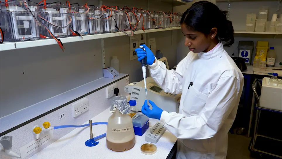 A High-Yield <em>Streptomyces</em> Transcription-Translation Toolkit for Synthetic Biology and Natural Product Applications