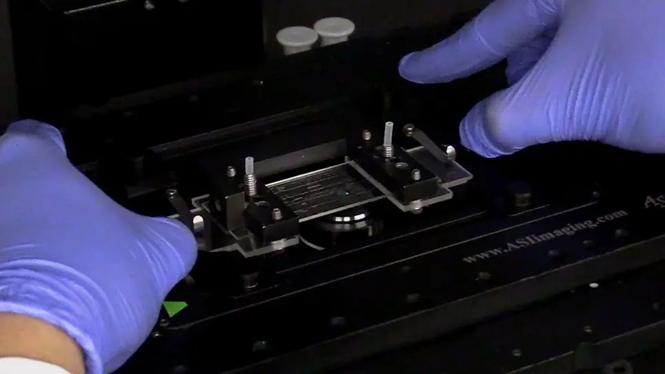 Imaging Molecular Adhesion in Cell Rolling by Adhesion Footprint Assay