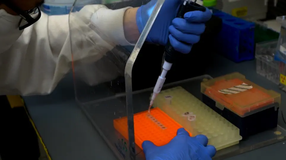 A Reporter Based Cellular Assay for Monitoring Splicing Efficiency