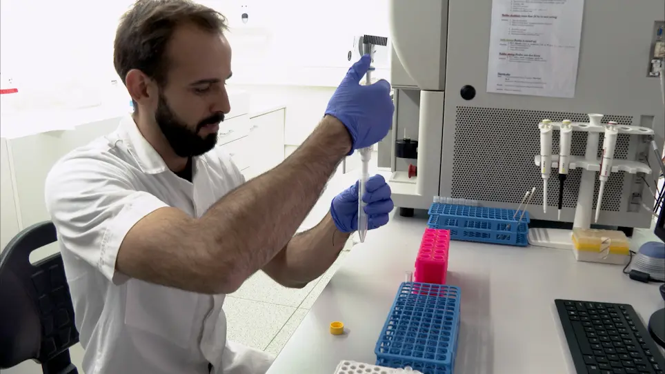 Rapid Isolation of Single Cells from Mouse and Human Teeth