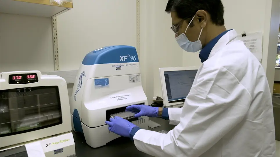 Assessment of Cellular Bioenergetics in Mouse Hematopoietic Stem and Primitive Progenitor Cells using the Extracellular Flux Analyzer