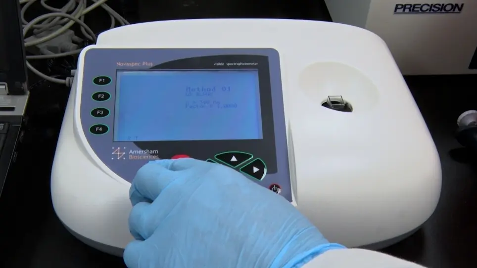 Spectrophotometric Methods for the Study of Eukaryotic Glycogen Metabolism