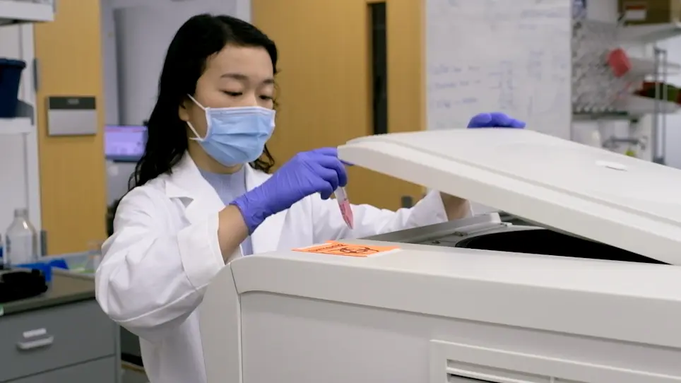 Generating Self-Assembling Human Heart Organoids Derived from Pluripotent Stem Cells