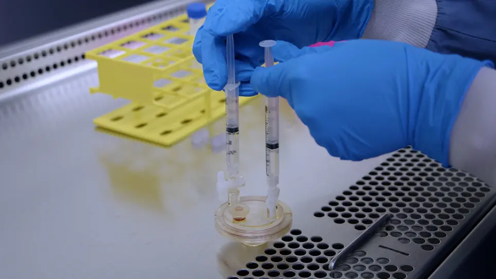 Culturing Lymphocytes in Simulated Microgravity Using a Rotary Cell Culture System