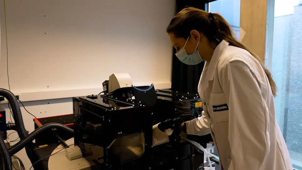 Longitudinal Intravital Microscopy Using a Mammary Imaging Window with Replaceable Lid