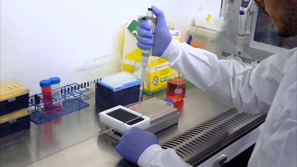 Human Liver Microphysiological System for Assessing Drug-Induced Liver Toxicity <em>In Vitro</em>