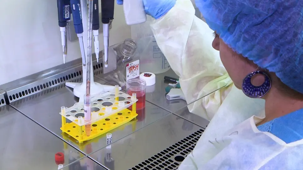 Primary Human Nasal Epithelial Cells: Biobanking in the Context of Precision Medicine