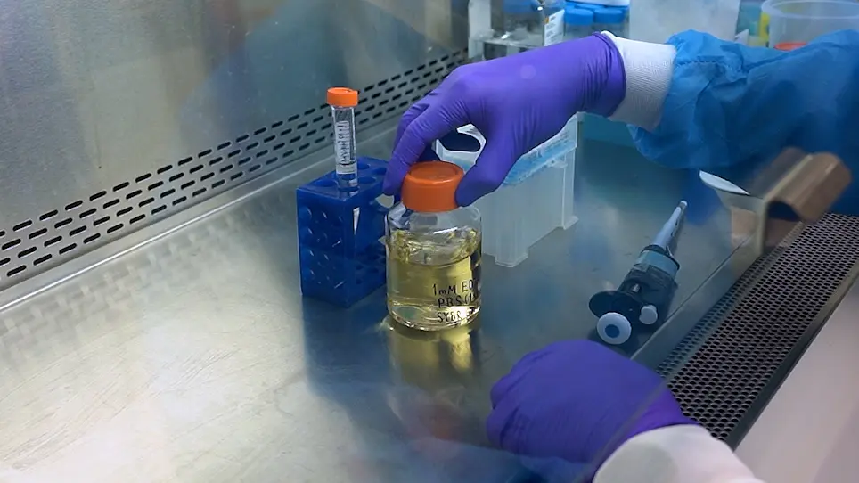 Reusable Single Cell for Iterative Epigenomic Analyses