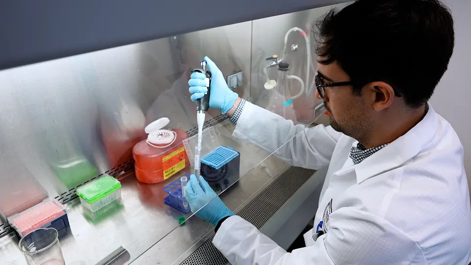 Analyses of Proteinuria, Renal Infiltration of Leukocytes, and Renal Deposition of Proteins in Lupus-prone MRL/lpr Mice