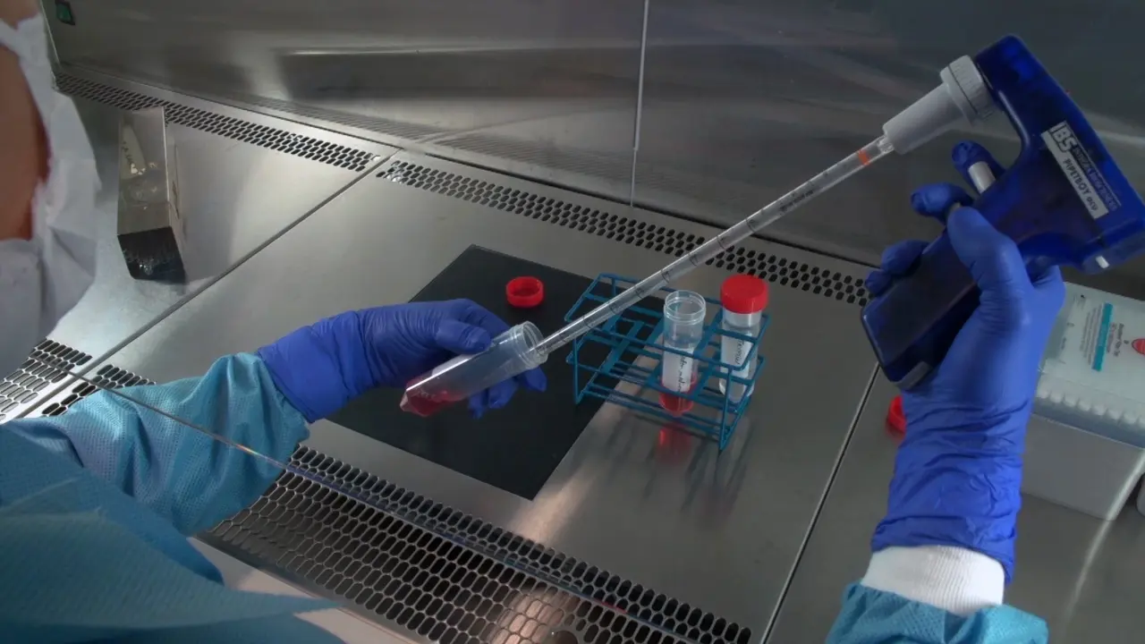 Rapid, Cost-Efficient, Enzyme-Free Passaging of Human Pluripotent Stem Cells on Feeder Cells by Ethylenediaminetetraacetic Acid-Mediated Dis-Adhesion