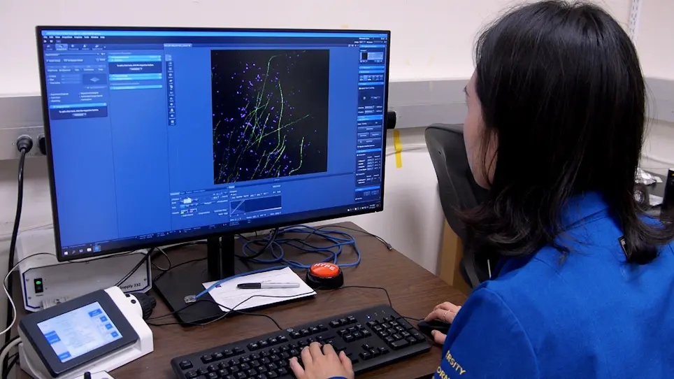 Label-Retention Expansion Microscopy (LR-ExM) Enables Super-Resolution Imaging and High-Efficiency Labeling