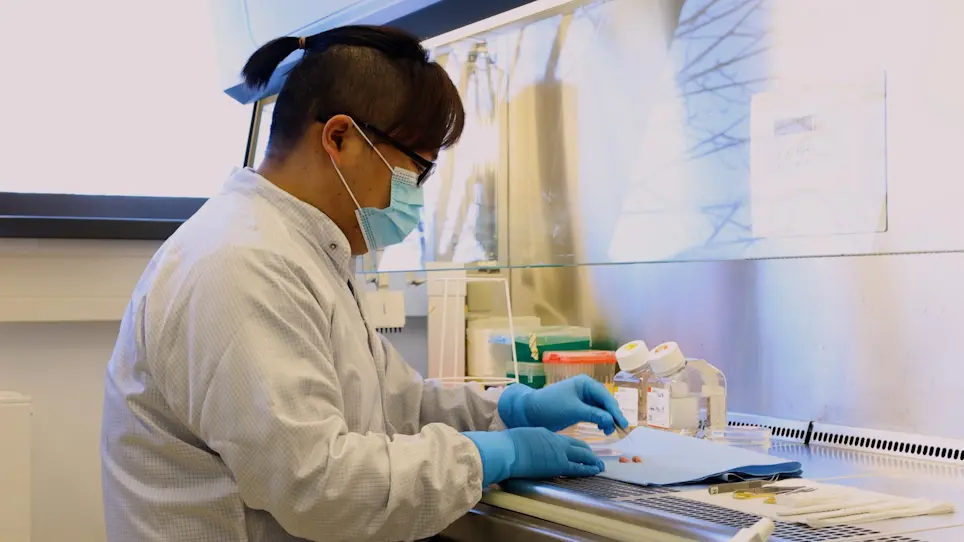 Visualizing Scar Development Using SCAD Assay - An <em>Ex-situ</em> Skin Scarring Assay