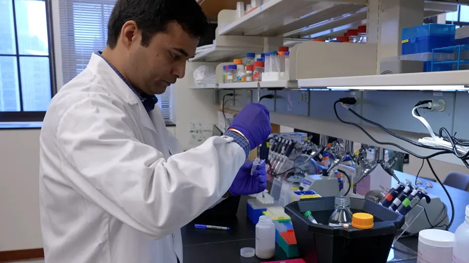 Biochemical Purification and Proteomic Characterization of Amyloid Fibril Cores from the Brain