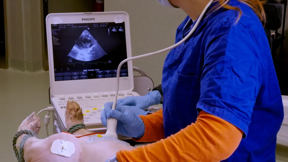 Transthoracic Echocardiography to Assess Post-Resuscitation Left Ventricular Dysfunction After Acute Myocardial Infarction and Cardiac Arrest in Pigs