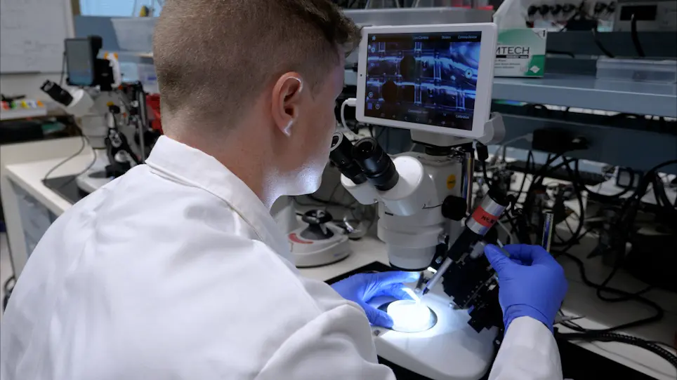 Microtransplantation of Synaptic Membranes to Reactivate Human Synaptic Receptors for Functional Studies