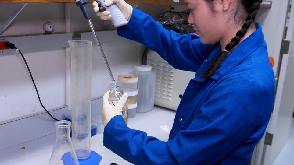 Large-Scale Gravitaxis Assay of <em>Caenorhabditis</em> Dauer Larvae