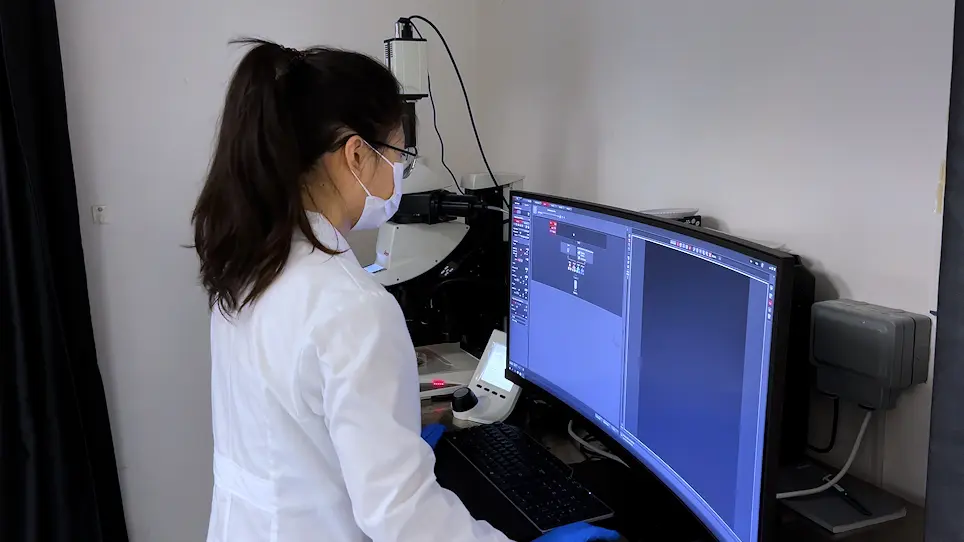Brain Ventricular Microinjections of Lipopolysaccharide into Larval Zebrafish to Assess Neuroinflammation and Neurotoxicity