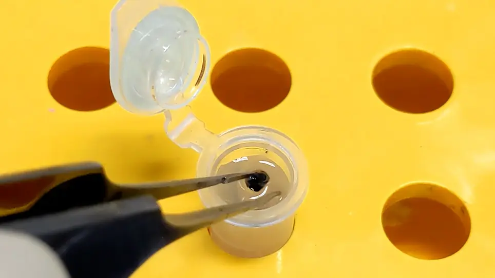 Microdissection of the Rodent Eye