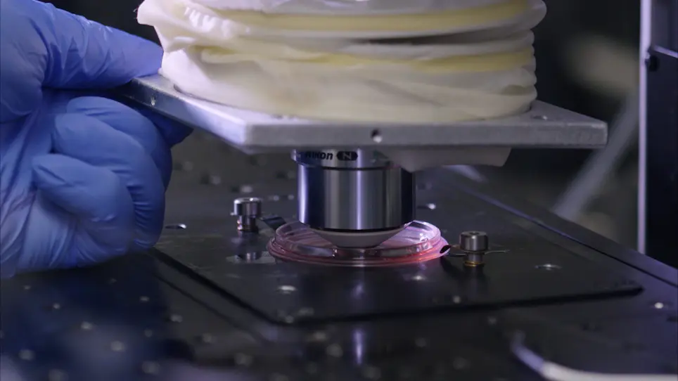 A Flexible Chamber for Time-Lapse Live-Cell Imaging with Stimulated Raman Scattering Microscopy