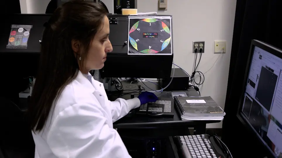 Use of Time-Lapse Microscopy and Stage-Specific Nuclear Depletion of Proteins to Study Meiosis in <em>S. cerevisiae</em>