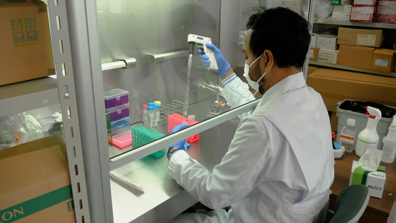 Quantifying Myeloperoxidase-DNA and Neutrophil Elastase-DNA Complexes from Neutrophil Extracellular Traps by Using a Modified Sandwich ELISA