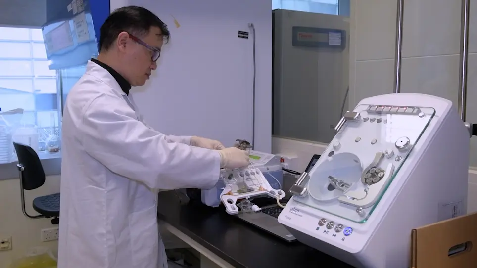 Human Mesenchymal Stem Cell Processing for Clinical Applications Using a Closed Semi-Automated Workflow