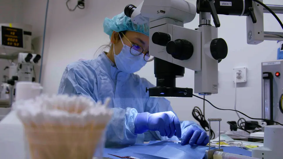 Surgical Approach, Challenges, and Resolutions for Uterus Transplantation in Rats