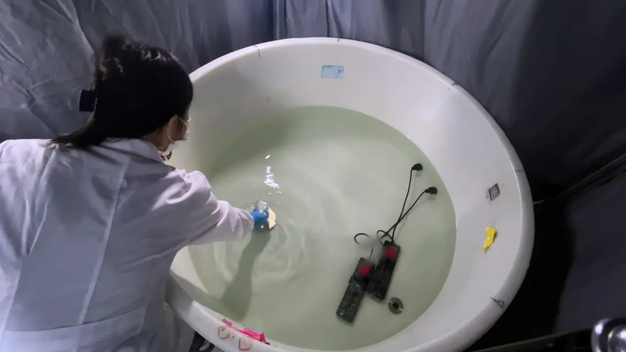 Behavioral and Network Pharmacology-Based Analyses for the Traditional Mongolian Medicine Zadi-5 in a Rat Model of Depression