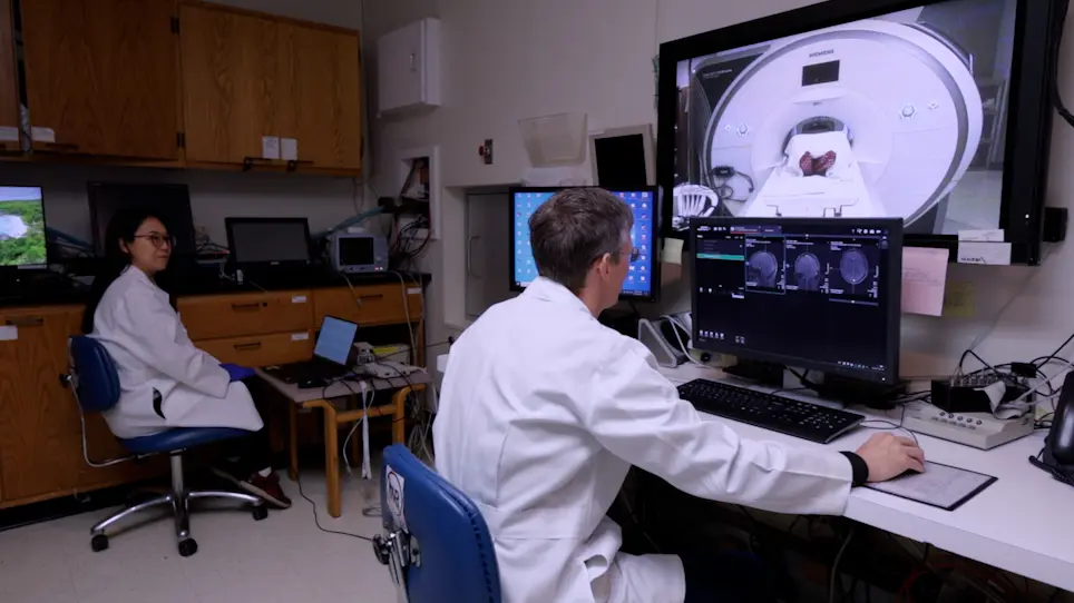 Equipment Setup and Artifact Removal for Simultaneous Electroencephalogram and Functional Magnetic Resonance Imaging for Clinical Review in Epilepsy