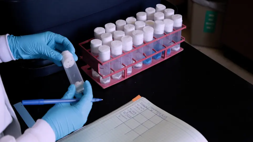Assessment of Chemical Toxicity in Adult <em>Drosophila Melanogaster</em>