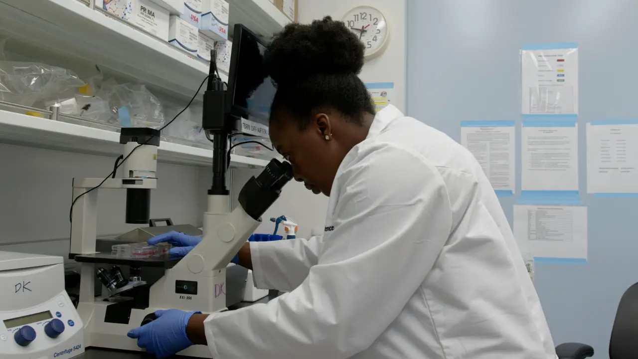 Ovarian Cancer Patient-Derived Organoid Models for Pre-Clinical Drug Testing
