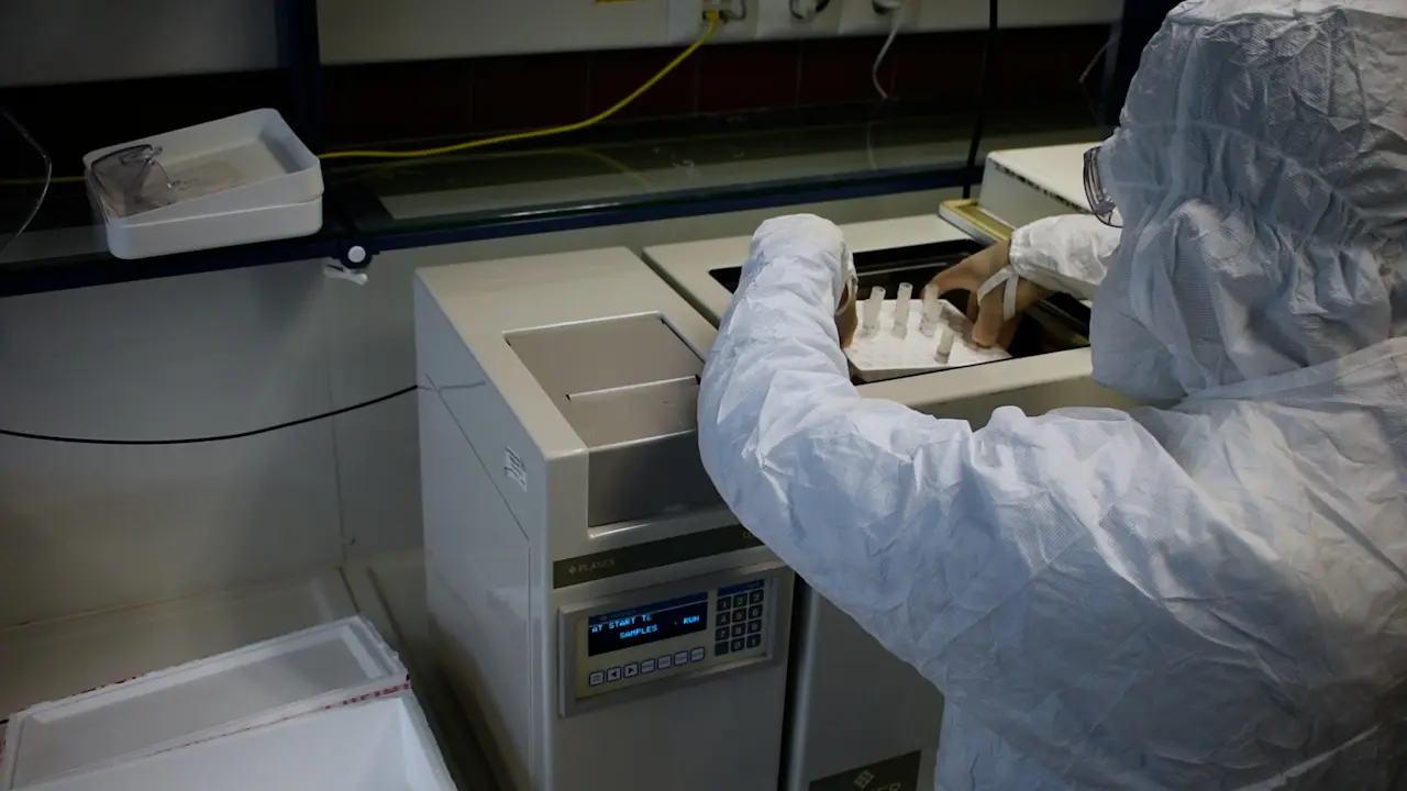 A GMP-Compliant Procedure for the Generation of Gene-Modified T cells