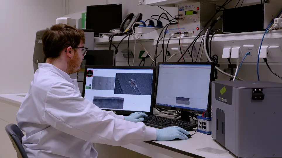 High-Throughput Contractile Measurements of Hydrogel-Embedded Intact Mouse Muscle Fibers Using an Optics-Based System
