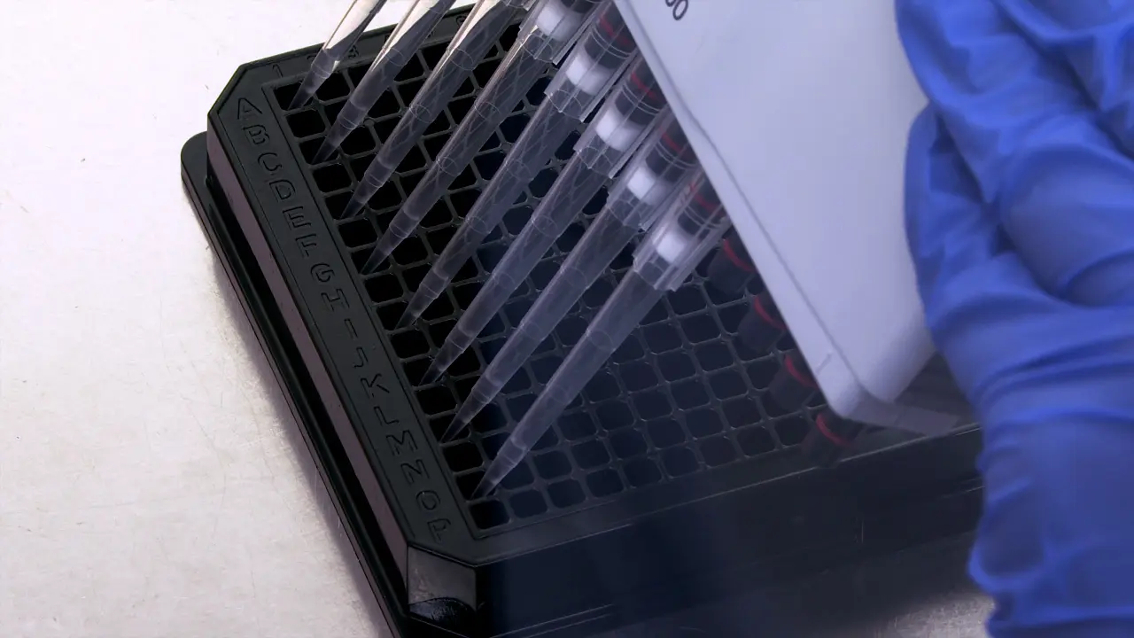 High-Throughput Image-Based Quantification of Mitochondrial DNA Synthesis and Distribution