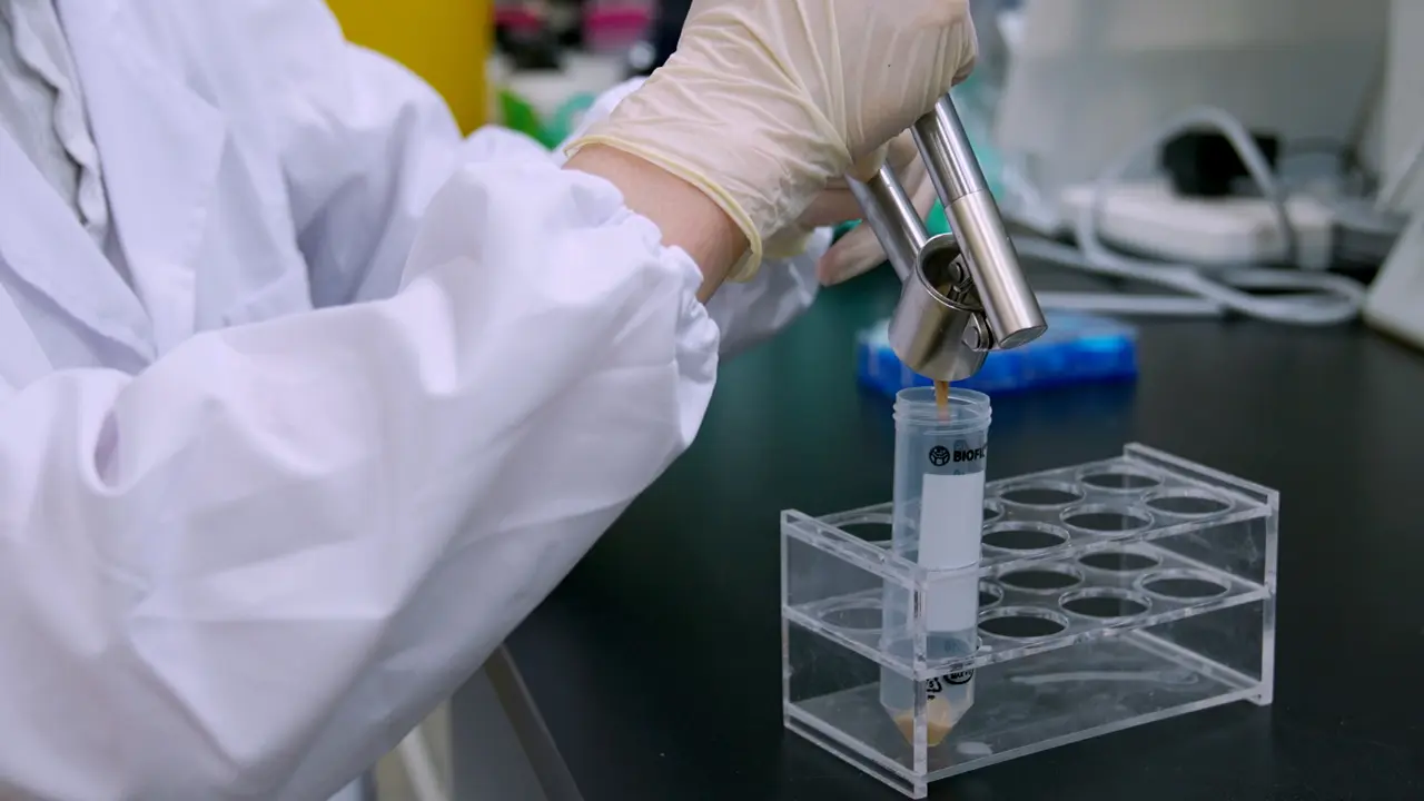 Optimizing the Rearing Procedure of Germ-Free Wasps