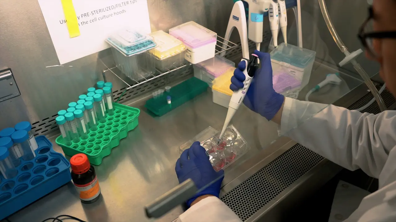 Quantitative Detection of DNA-Protein Crosslinks and Their Post-Translational Modifications