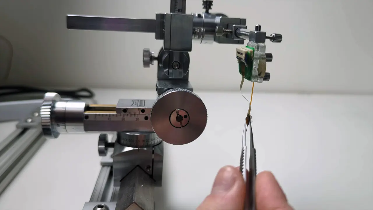 Electrophysiology of Laminar Cortical Activity in the Common Marmoset